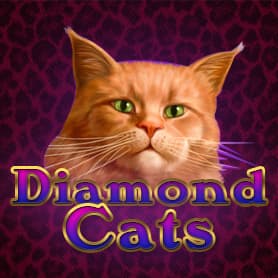 Diamond Cats